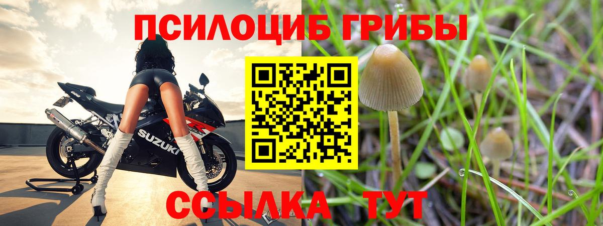 Псилоцибиновые грибы прущие грибы  Вход с VPN  даркнет сайт  Оренбург 
